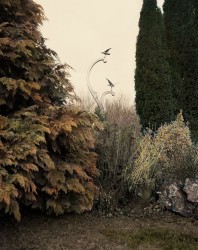 VPC_18 - n°4/15, 2019