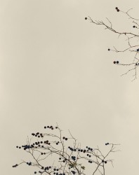 VPC_10 - n°4/15, 2019