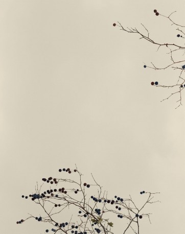 VPC_10 - n°4/15, 2019 - ARIÑO_GASSUL_29