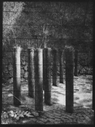 46,477273 6,857120 - n°1/7 - Série territoire, 2015