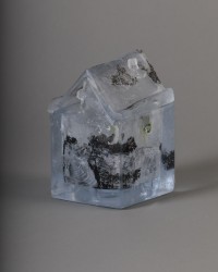 Ecrin de verdure - Fougères