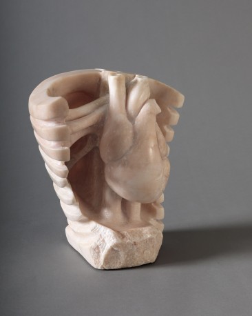 Rhizome anatomique, 2025 - RIEU_JACQUES_49