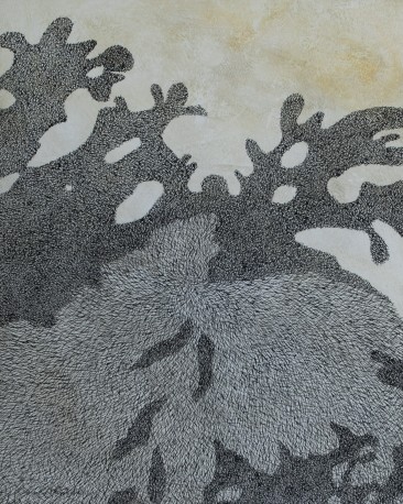 Ombre, 2025 - TEXEDRE_COCO_300