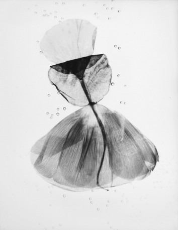 Jardins invisibles - n° 1/5, 2021 - HUGUES_BERTRAND_6