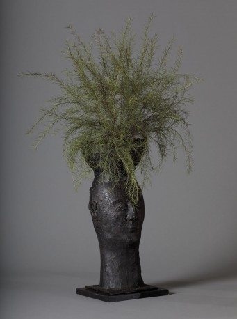 Tête plante - BOULLET_ALAIN_J6