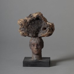 Tête champignon, 2013