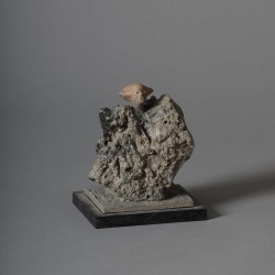 Cheveux au vent, 2015