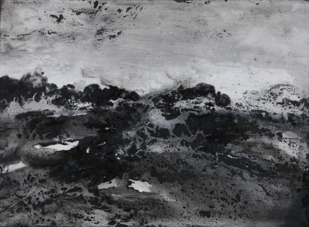 La plaine 26, 2025 - REBEYROLLE_FABRICE_406