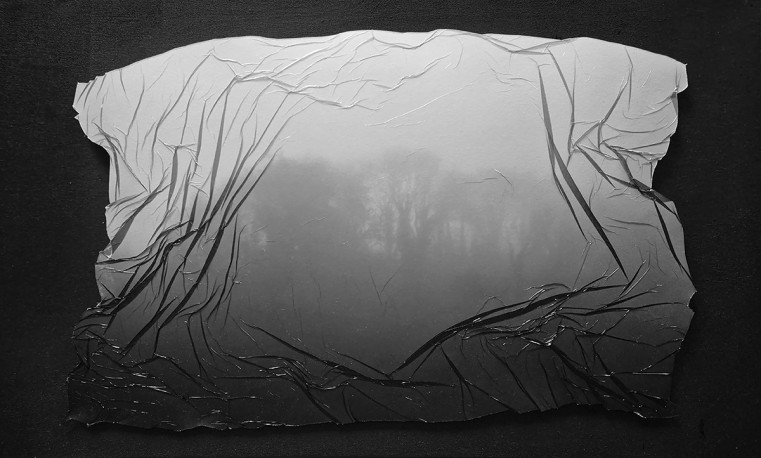 Chrysalide 3 - 1/1, 2025 - LESAFFRE_LAETICIA_10