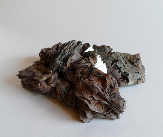 Mémoire minérale - inclusion, 2008 - KAUFMANN_JACQUES_1