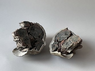 Mémoire minérale - coupe de tête, 2008