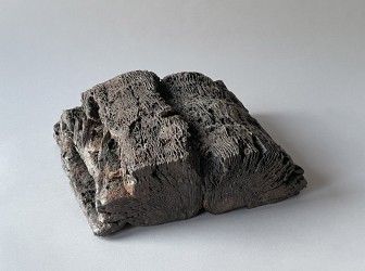 Mémoire minérale, 2000