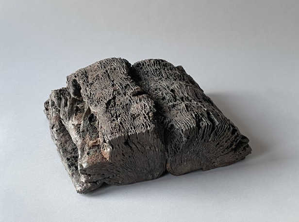 Mémoire minérale, 2000 - KAUFMANN_JACQUES_6