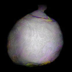 Diaphanum (Transparences) s.o.a.p.1, 2022