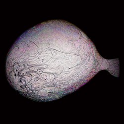 Diaphanum (Transparences) s.o.a.p.3 - 1/5, 2022