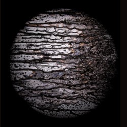 Diaphanum (Transparences) H.2.O.+2- 1/5, 2022