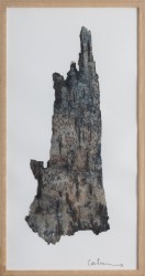 Paréidolie d'écorce I, 2023