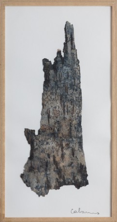 Paréidolie d'écorce I, 2023 - de_CABARRUS_Pauline_1