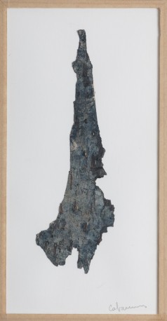 Paréidolie d'écorce II, 2023 - de_CABARRUS_Pauline_2