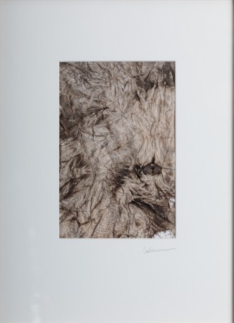 Terre II, 2025 - de_CABARRUS_Pauline_11