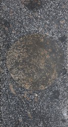 Le cycle des planètes, 2024