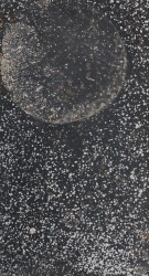 Le cycle des planètes, 2024