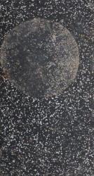 Le cycle des planètes, 2024