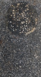 Le cycle des planètes, 2024