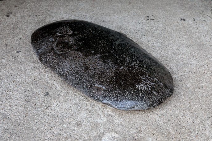 Areshima noir - DEJONGHE_BERNARD_219