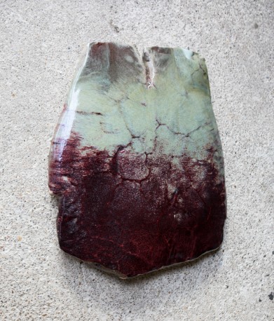 Sabot de diable - DEJONGHE_BERNARD_222