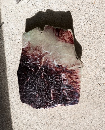 Sabot de diable - DEJONGHE_BERNARD_223