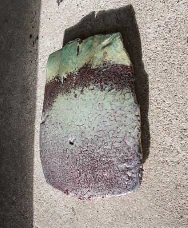 Sabot de diable - DEJONGHE_BERNARD_224