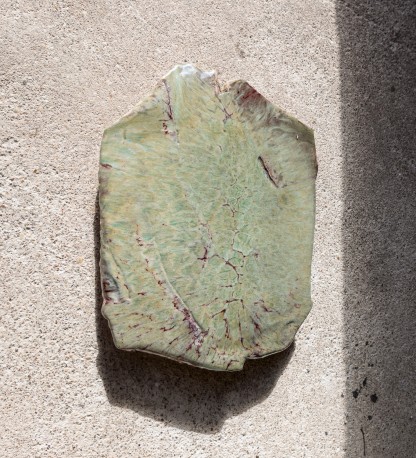 Sabot de diable - DEJONGHE_BERNARD_225