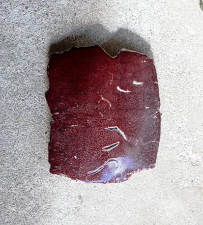 Sabot de diable - DEJONGHE_BERNARD_226