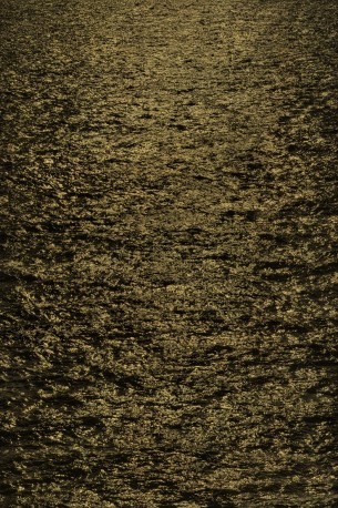 Champ I - 1/1, 2025 - DEWEGGIS_Claire_8