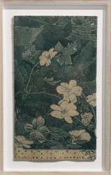 Anémone - Anemone hupehensis on anemone paper, 2024