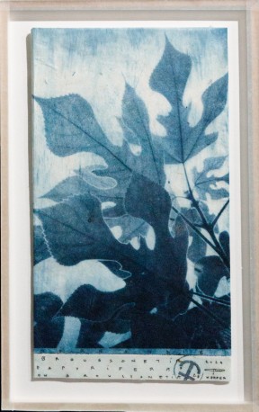 Broussonetia - Broussonetia papyrifera on broussonetia paper, 2024 - BARATIER_PARME_7