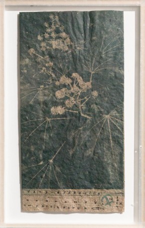 Fatsia -Fatsia japonica on fatsia paper, 2024 - BARATIER_PARME_10