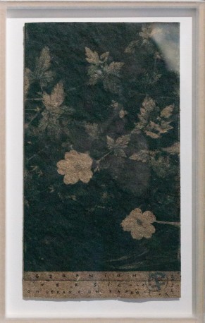 Geranium- geranium versicolor on geranium paper, 2024 - BARATIER_PARME_12