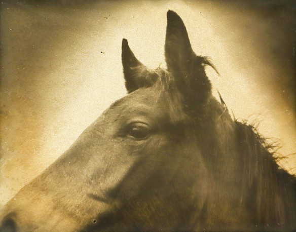 Glanage n° 2 - 2/10 - NINOMIYA_NAOHIRO_23