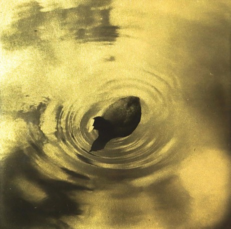 Glanage n° 3 - 3/10 - NINOMIYA_NAOHIRO_24