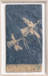 Jonquilles- narcissus pseudonarcissus on narcissus paper, 2024