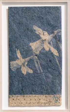 Jonquilles- narcissus pseudonarcissus on narcissus paper, 2024 - BARATIER_PARME_18