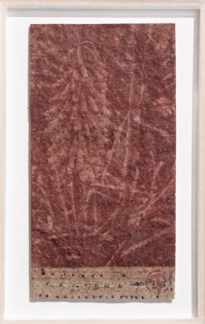 Kniphofia, Kniphofia tritotoma on Kniphofia paper, 2024 - BARATIER_PARME_19