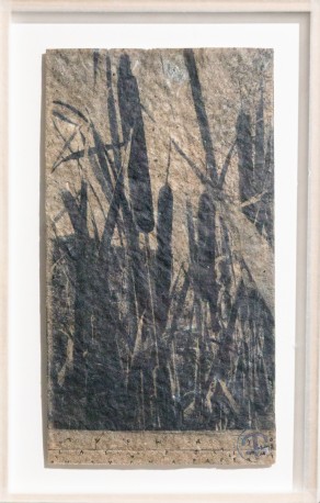 Roseau - Typha latifolia on typha paper, 2024 - BARATIER_PARME_23