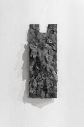 Coquille / mur, 2026