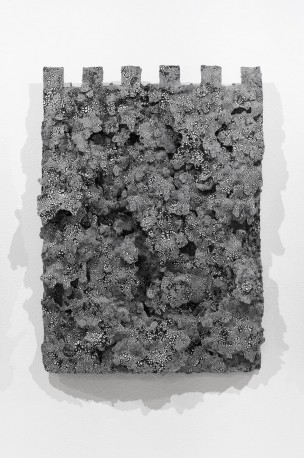 Coquille / mur 12, 2026 - LELIEVRE_ANAIS_153