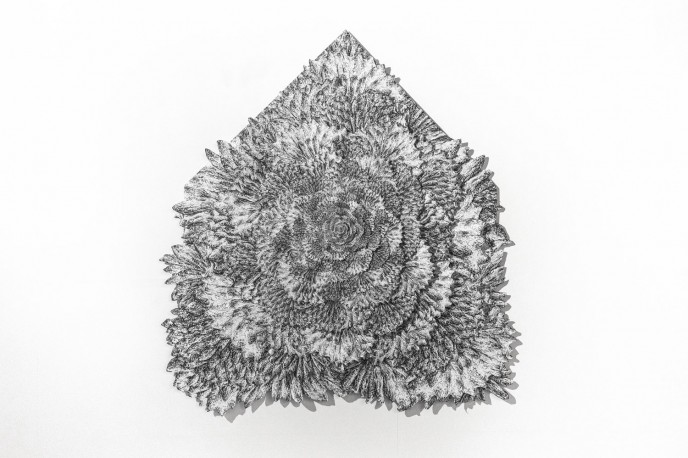 Atemoia 4, 2026 - LELIEVRE_ANAIS_154