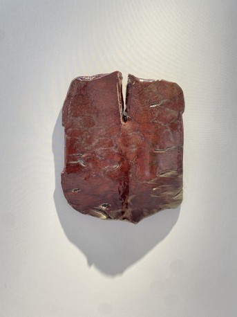 Sabot de diable - DEJONGHE_BERNARD_214