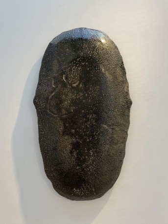 Areshima noir - DEJONGHE_BERNARD_219